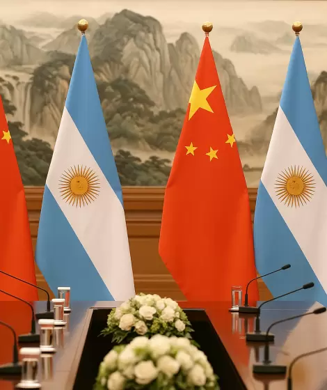 El creciente peso de China en las importaciones y los desaf�os que enfrenta la producci�n nacional.