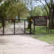 Una nena de 13 a�os con discapacidad muri� ahogada en una pileta: denuncian abandono y negligencia