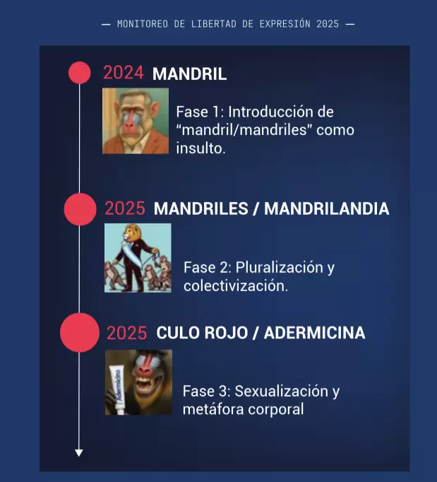 Los insultos que m�s se repitieron durante 2025