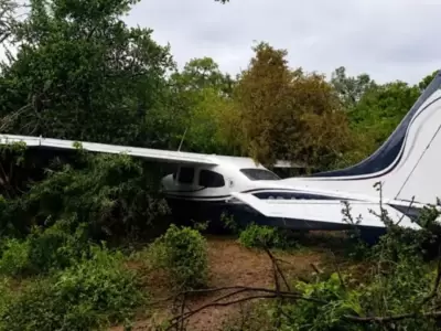 Hallaron una avioneta abandonada en medio del monte