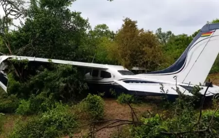 Hallaron una avioneta abandonada en medio del monte