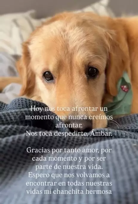 La familia de Manuel Ibero despidi� a su perrita