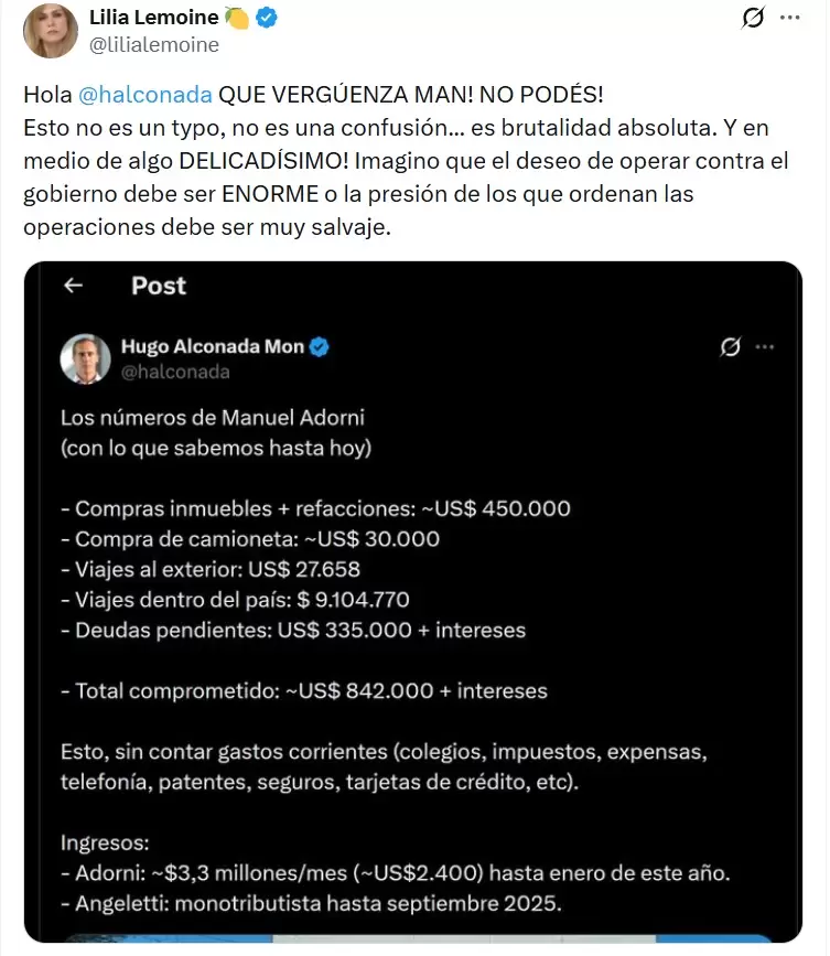 Lilia Lemoine cuestion� el c�lculo que hizo el periodista Hugo Alconada Mon alrededor del dinero que debe demostrar Manuel Adorni.