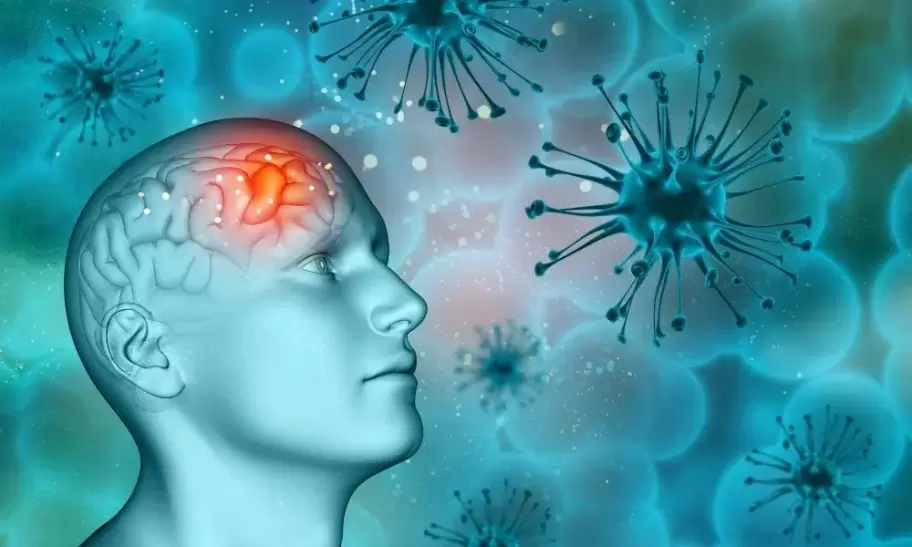 Seg�n el Bolet�n Epidemiol�gico Nacional se registraron 172 casos de meningitis en el 2026
