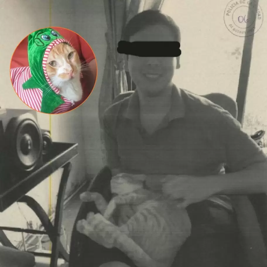 Denuncian que un joven adoptaba gatos para torturarlos y matarlos