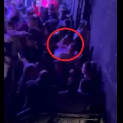 La verdad detr�s de la noche de furia de N�stor Ortigoza y Roc�o Oliva en Tropitango: ahorcamientos y trompadas