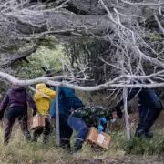 Alerta y miedo por el hantavirus: aumentan los contagios, crecen las muertes y preocupa un brote fuera de temporada