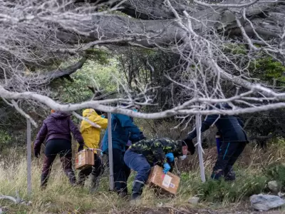 El hantavirus avanza en Argentina