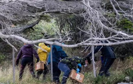 El hantavirus avanza en Argentina