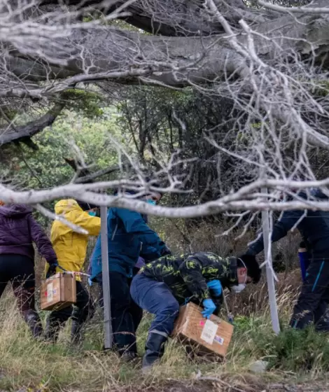 El hantavirus avanza en Argentina