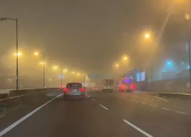 Neblina en el AMBA