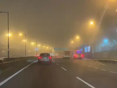 Neblina en el AMBA