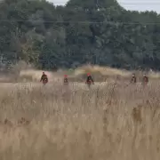 Rastrillajes masivos, mensajes inquietantes y fuertes sospechas: horas desesperantes por la desaparición de Agostina Vega