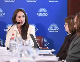 La jueza Mar�a Ver�nica Michelli defendi� su pliego en la comisi�n de Acuerdo del Senado de la Naci�n.