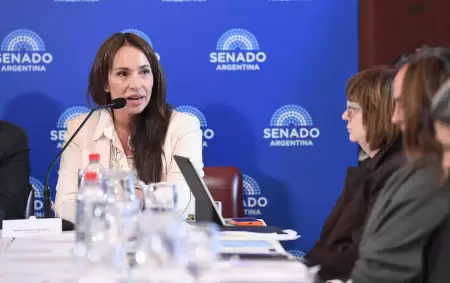 La jueza Mar�a Ver�nica Michelli defendi� su pliego en la comisi�n de Acuerdo del Senado de la Naci�n.