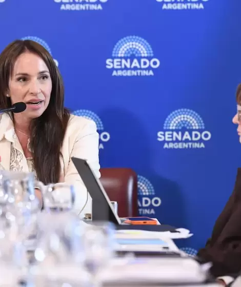 La jueza Mar�a Ver�nica Michelli defendi� su pliego en la comisi�n de Acuerdo del Senado de la Naci�n.