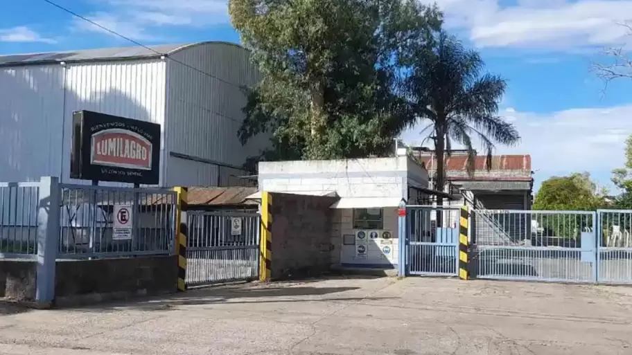 Lumilagro atraviesa una profunda crisis con una ca�da del 50% en las ventas