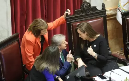 Villarruel expuso a Bullrich en el Senado y