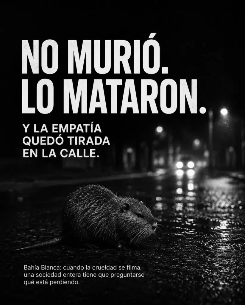 La Fundación Grupo Alianza Animal intervino de inmediato tras recibir múltiples denuncias