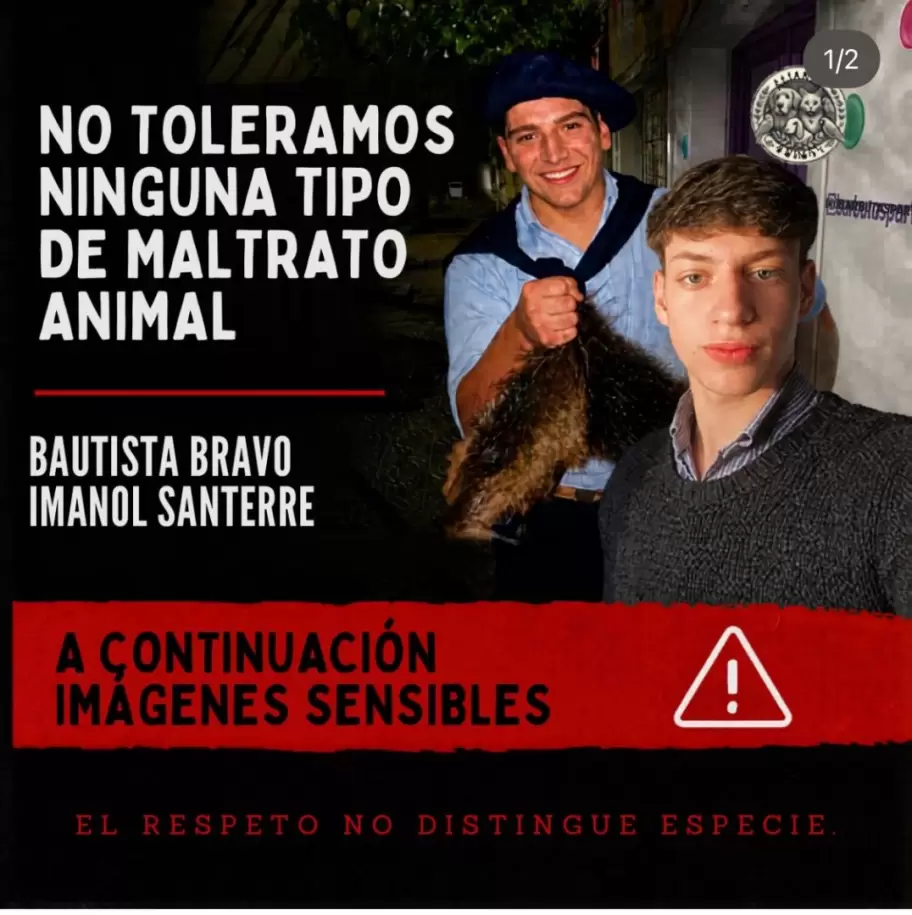 Crueldad extrema: denuncian a dos jovenes por maltrato animal en Bahia Blanca