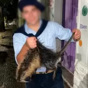 Denuncia penal a dos jóvenes por matar a patadas a una nutria en Bahía Blanca