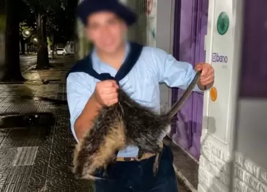 Maltrato animal