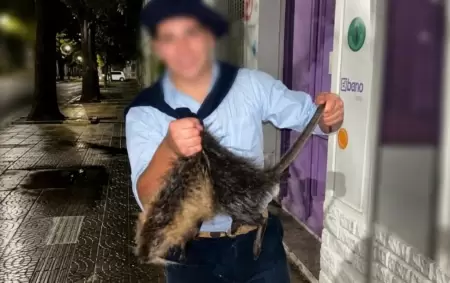 Maltrato animal