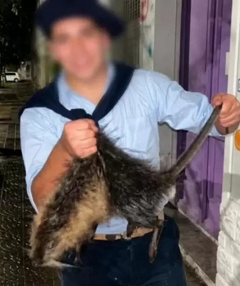 Maltrato animal