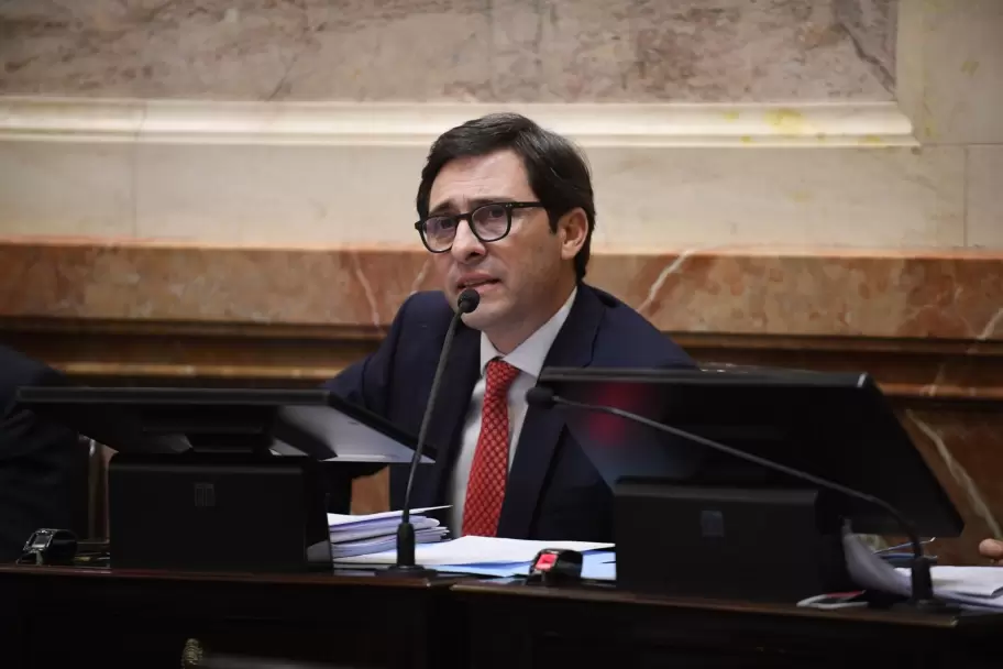 Mart�n Goerling, jefe del bloque del PRO en el Senado