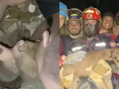 Un beb� y un perro entre los rescates m�s dram�ticos tras el terremoto en Venezuela.