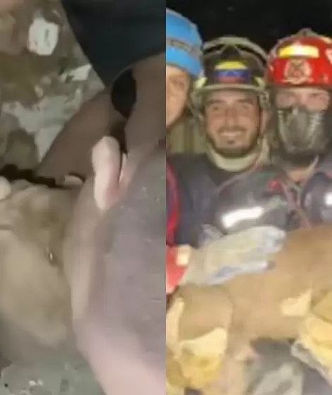 Un beb� y un perro entre los rescates m�s dram�ticos tras el terremoto en Venezuela.
