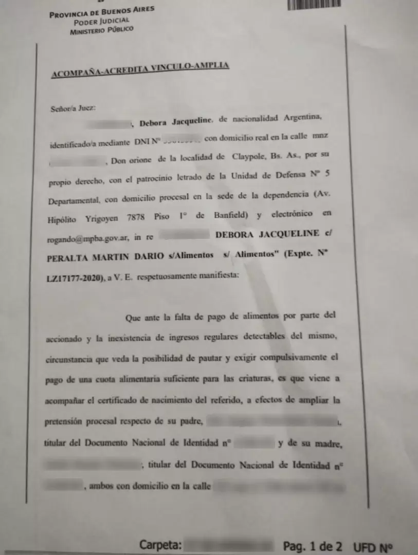 Parte de la denuncia contra Martín Darío Peralta.