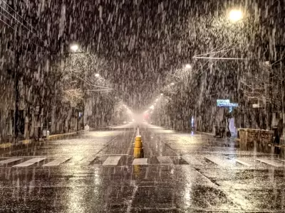 Alerta polar