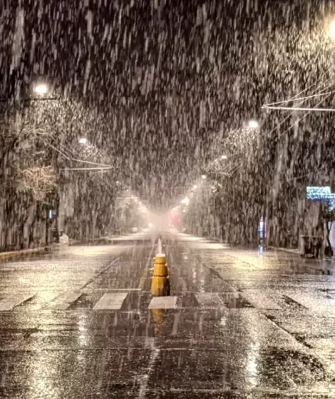 Alerta polar