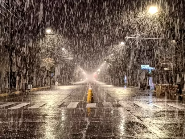 Alerta polar