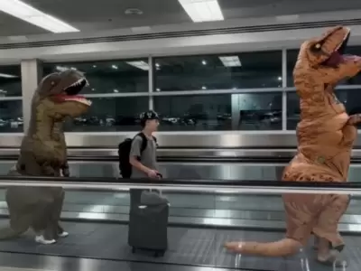 Momo y los dinosaurios