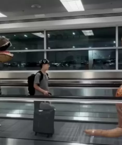 Momo y los dinosaurios