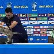 El maleficio viral que hundió a Brasil: de qué se trata la maldición del gatito Hexa