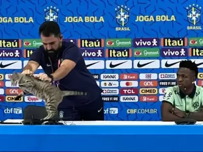 Vinicius Rodrigues y el gatito Hexa