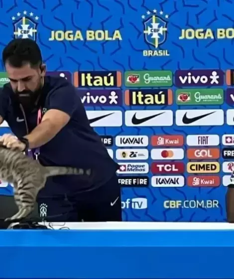 Vinicius Rodrigues y el gatito Hexa