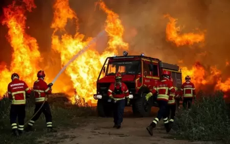 Europa enfrenta una ola hist�rica de incendios
