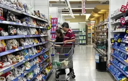 Pese a la desaceleraci�n de la inflaci�n, el consumo sigue en ca�da
