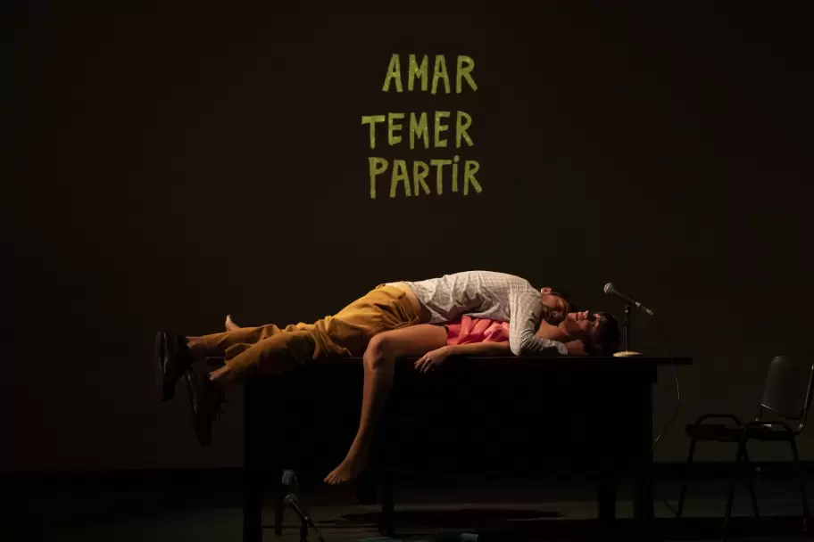 Mis Palabras, una obra de Marcelo Allasino
