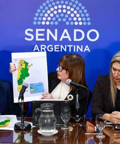 La Libertad Avanza tuvo que modificar el cap�tulo m�s pol�mico de la ley de Inviolabilidad de la Propiedad Privada