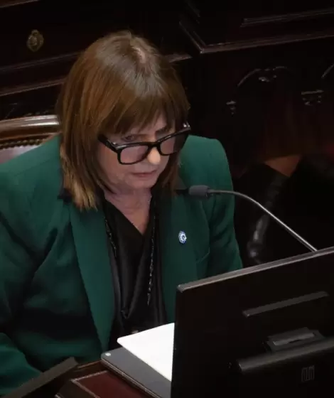 Con cambios de �ltimo momento y fuertes cr�ticas, el Senado debate la ley de propiedad privada que impulsa Milei