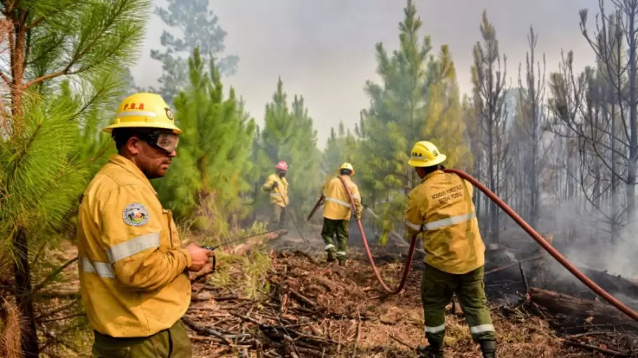 Se votó también la Ley de Manejo del Fuego