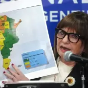 Ley de Tierras: cómo quedó el Frankenstein que creó Bullrich y que salió del Senado entre gallos y medianoche