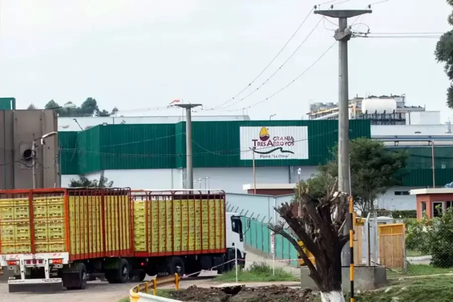 Los despidos en la planta de Concepción del Uruguay de la Granja Tres Arroyos son 250 y podrían llegar a 500.