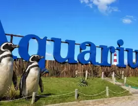 El final del Aquarium de Mar del Plata