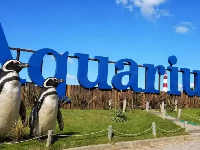 El final del Aquarium de Mar del Plata